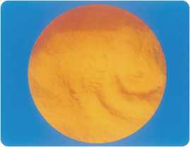 聚合硫酸铁(图1)